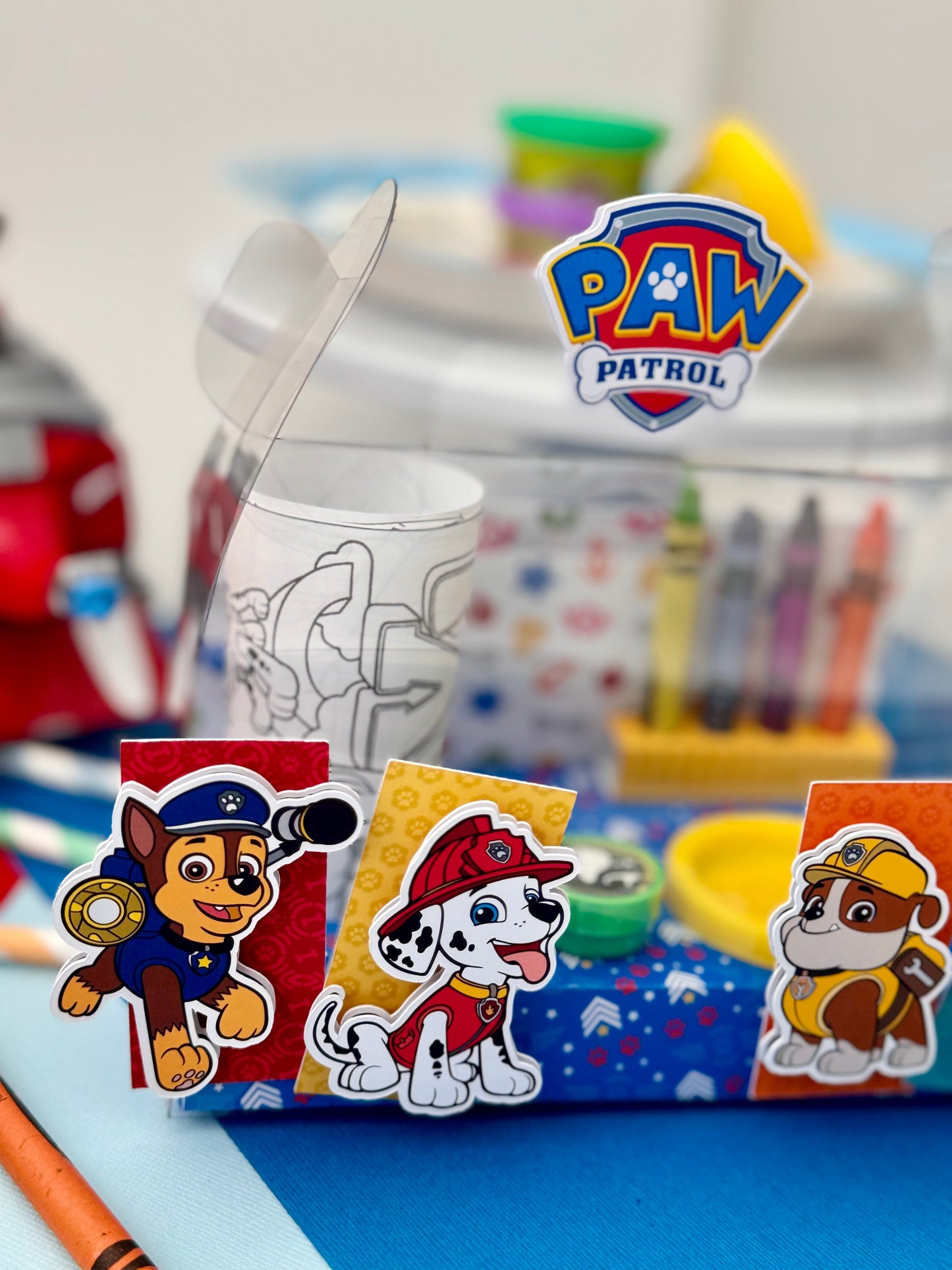 Paw Patrol Activity Box
