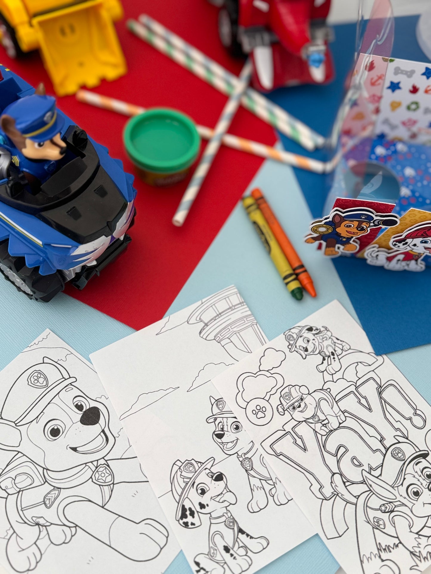 Paw Patrol Activity Box